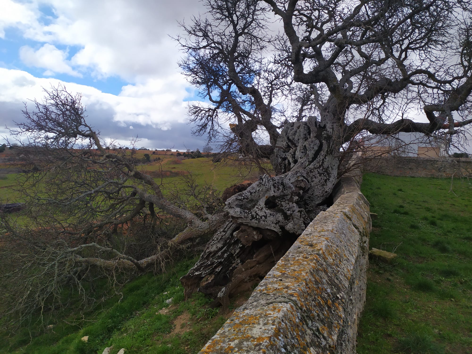 Moral roto viento 2